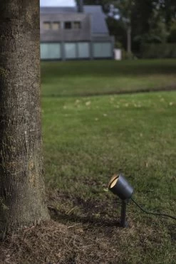 Lutec Explorer LED Erdspiessleuchte Anthrazit IP44 380lm 10x33,5x15cm -Lichtwelt Verkauf 7.1 photo hd 6609201118a00001 6609201118 08