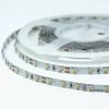 Bioledex LED Streifen 24V 5W Und 60LED Je M 5000K 5m Rolle Tageslichtweiss -Lichtwelt Verkauf bioledex lfl 40r2 014 4260510480143 3 2 1 1 1