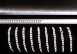 Deko Light 3528 120 12V 6500K 5m LED Stripe Weiß IP20 2450lm >90 Ra 120°