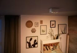 Philips Box Moderne LED Aufbauleuchte Weiß 2-flg. 1000lm Doppelspot 20,2x10,2x10cm 7 Philips Box Moderne LED Aufbauleuchte Weiß 2-flg. 1000lm Doppelspot 20,2x10,2x10cm -Lichtwelt Verkauf philips box decken aufbauleuchte 5049231p0 2