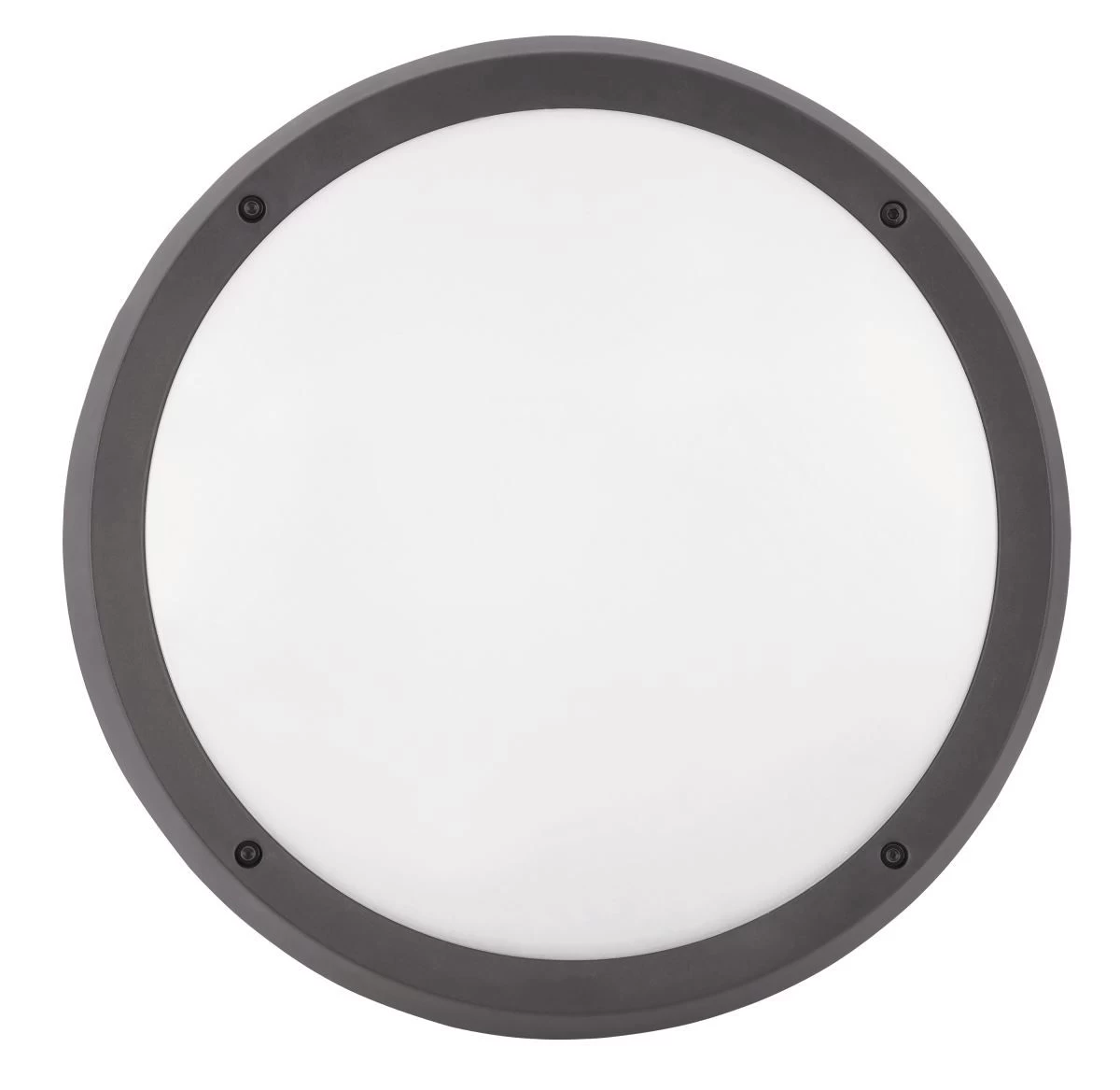 Rabalux Alvorada Außen Deckenleuchte 2x E27 Anthrazit 5 Rabalux Alvorada Außen Deckenleuchte 2x E27 Anthrazit – Bild 3